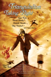 Triangulation: Taking Flight